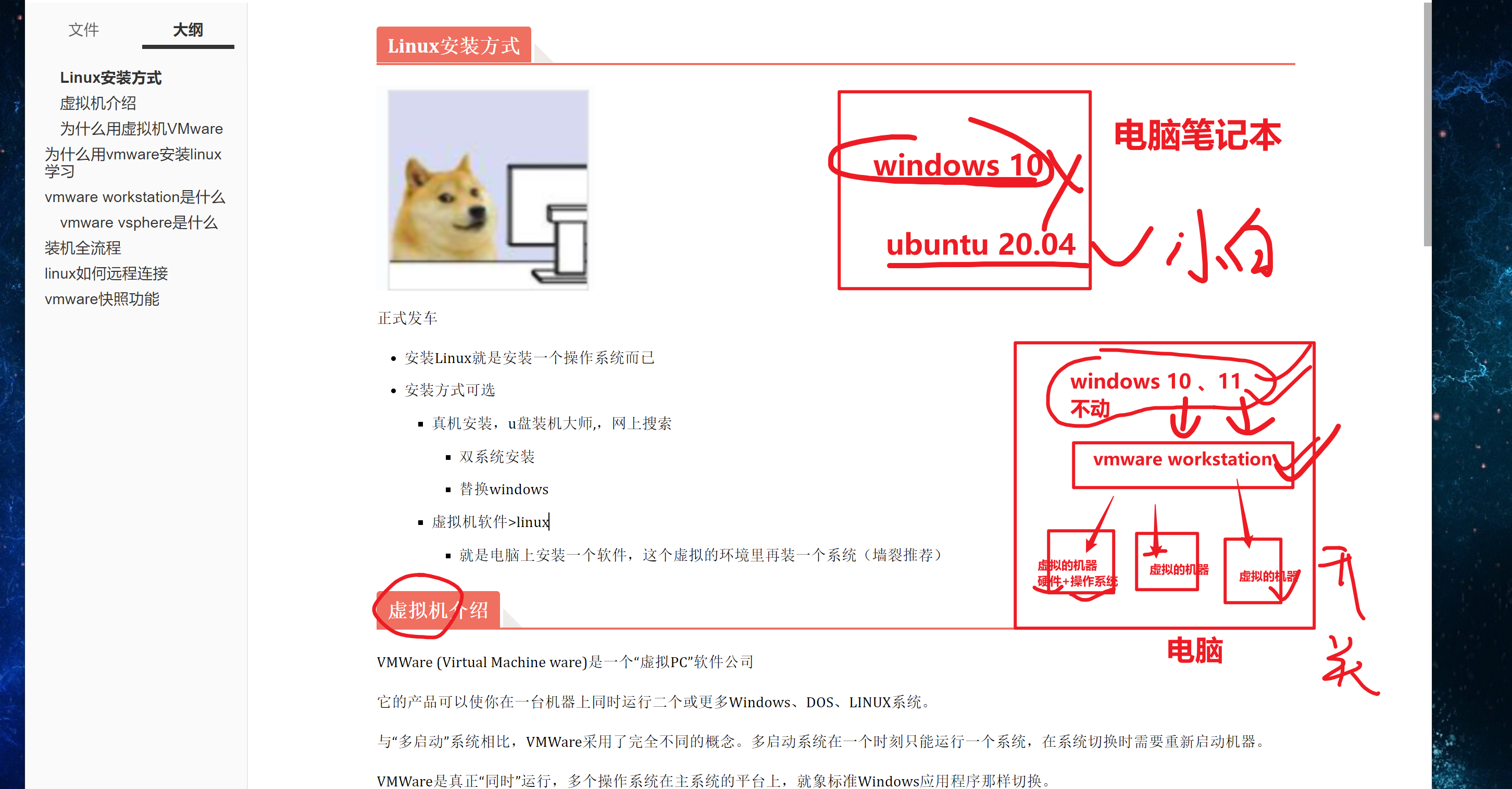 image-20230705135424402